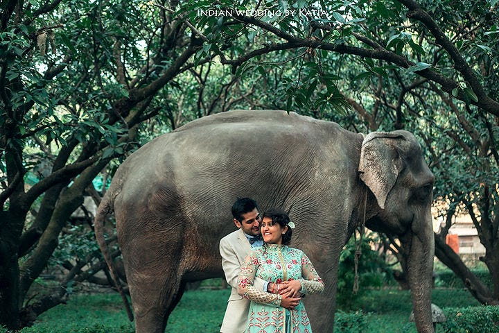A Picturesque Affair: Destination Wedding Places in Uttarakhand and the Best Wedding Resorts in Jim Corbett National Park | by Twpc | Sep, 2023 | Medium