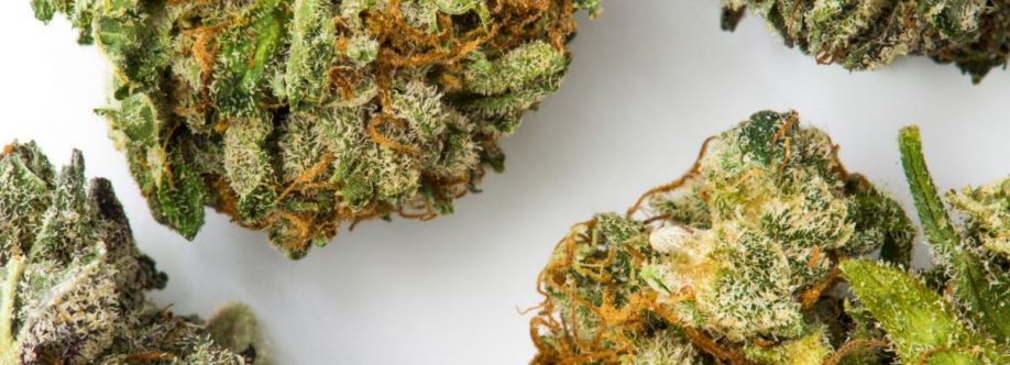 Granny Za Weed Marijuana Dispensary Cover Image