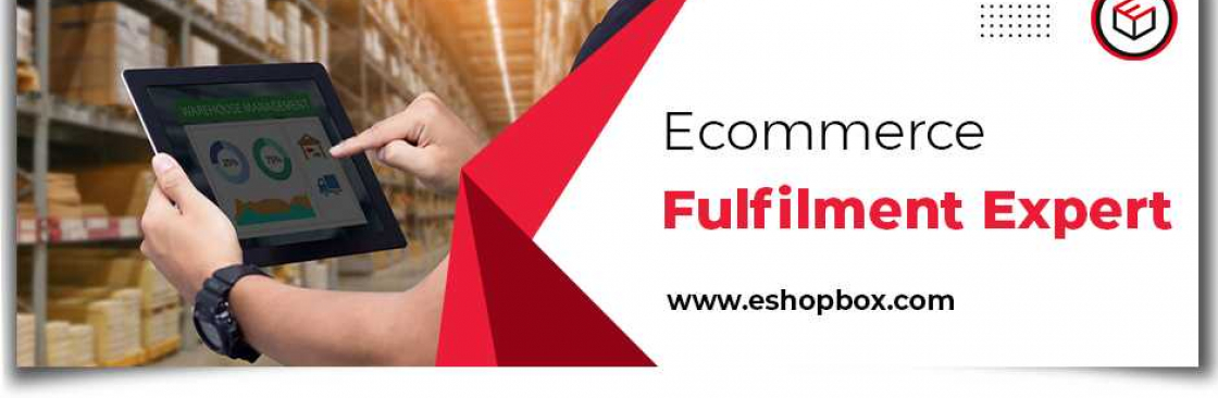 Eshopbox Ecommerce Pvt Ltd Cover Image