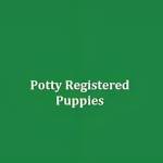 Potty Registered Puppies Profile Picture