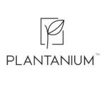 Plantanium Plantanium Profile Picture