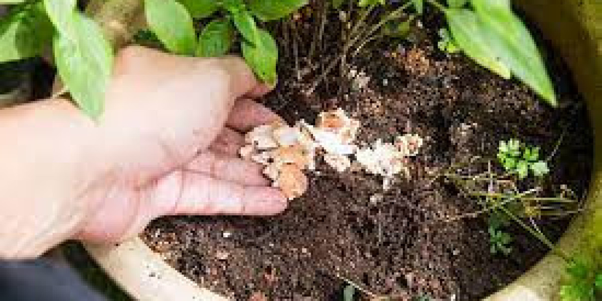 Boost Your Garden's Growth with Bacillus Subtilis NZ, Garden Fertilizer, and Humic Acid