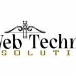 webtechnoedge solutions Profile Picture