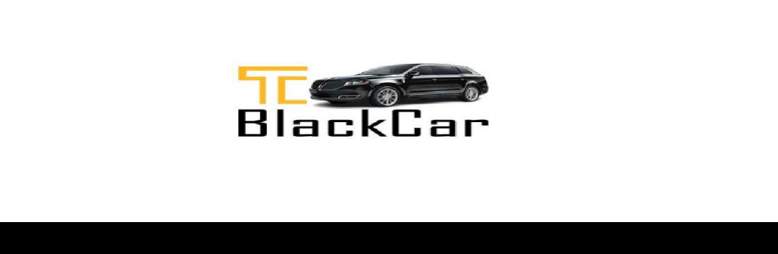 MSP Airport Black Car Private Chauffeurs Service Town Car Se Cover Image