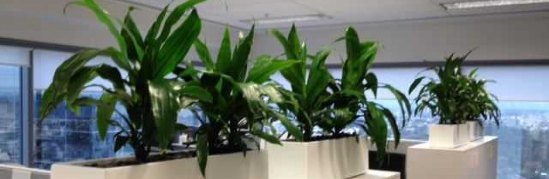 Luwasa Indoor Plant Hire Cover Image