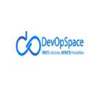 DevOpSpace LLP Profile Picture