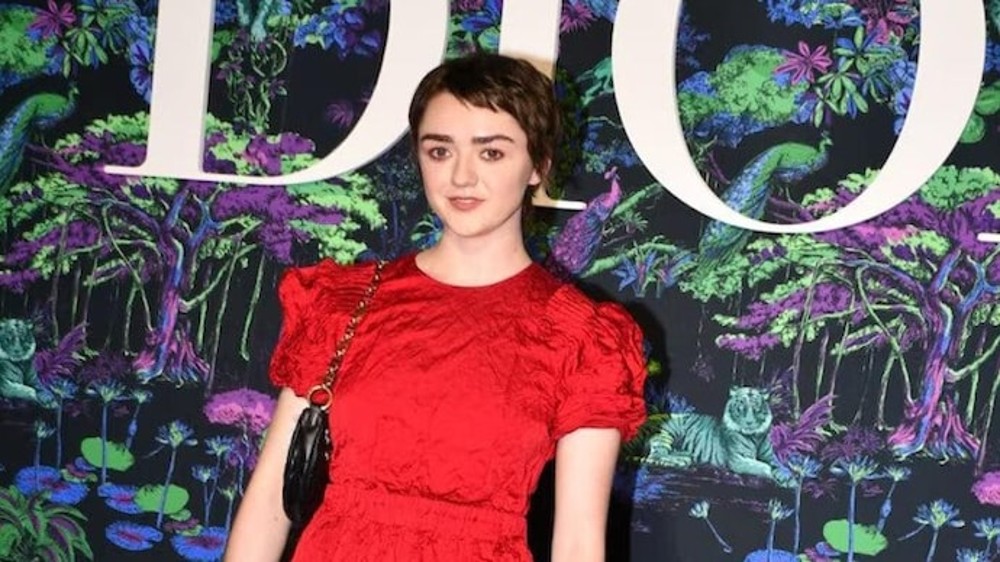 Maisie Williams hilariously recreates a cooking scene from Twilight - Wiki of Thrones