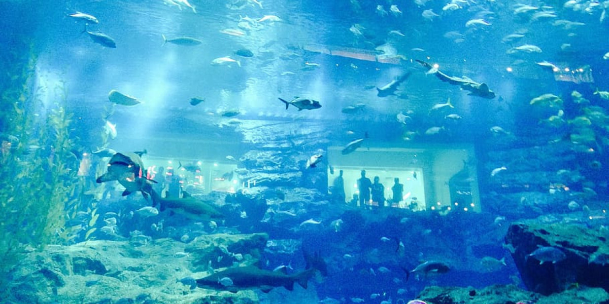 Dubai Aquarium & Underwater Zoo: Exploring the Wonders of the Deep