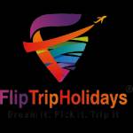 Flip Trip Profile Picture