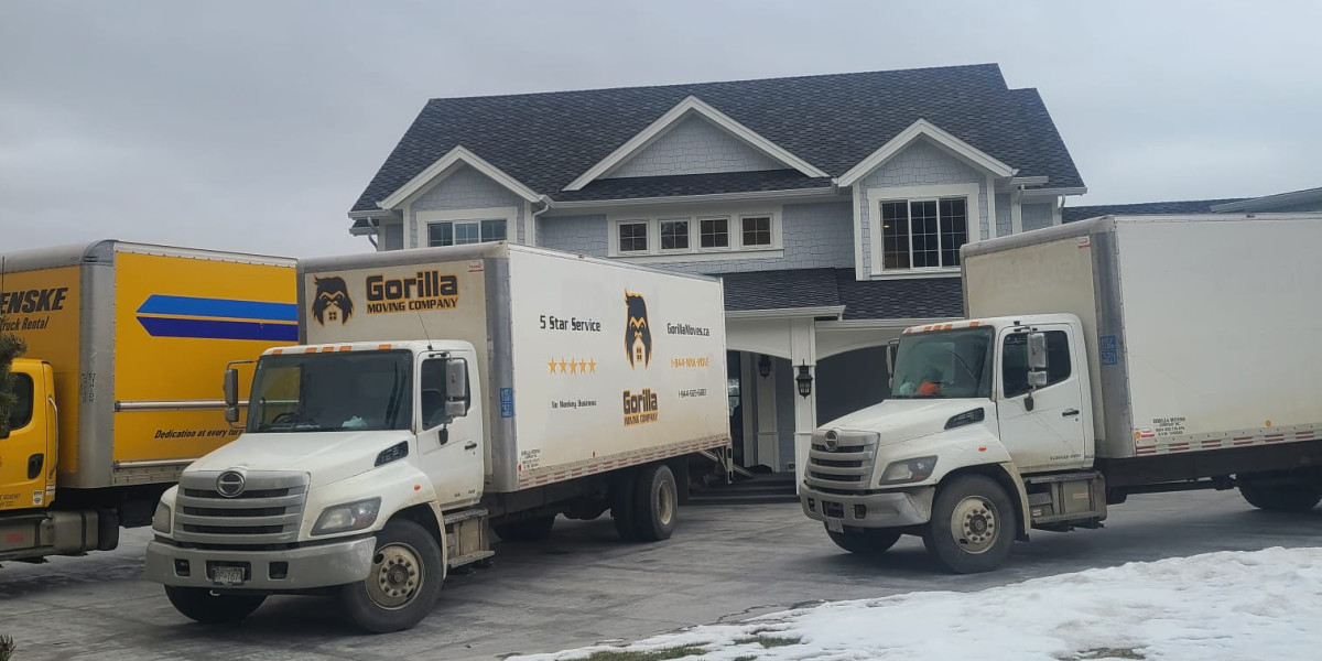 Navigating Your Move with Ease: Choosing the Right Moving Company in Langley