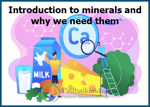 What are Minerals | Its Type, Importance & Functions
