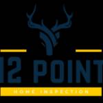 12 Point Inspection LLC Profile Picture