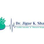 Dr Jigar K Shah Profile Picture