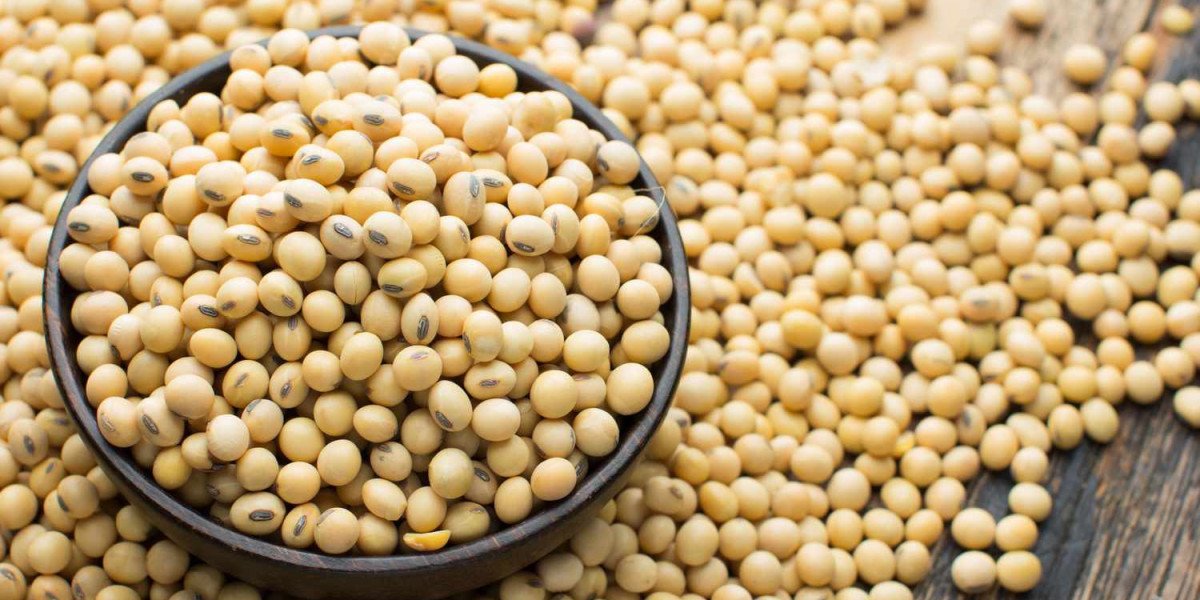 How Soybean Is Good For Your Health