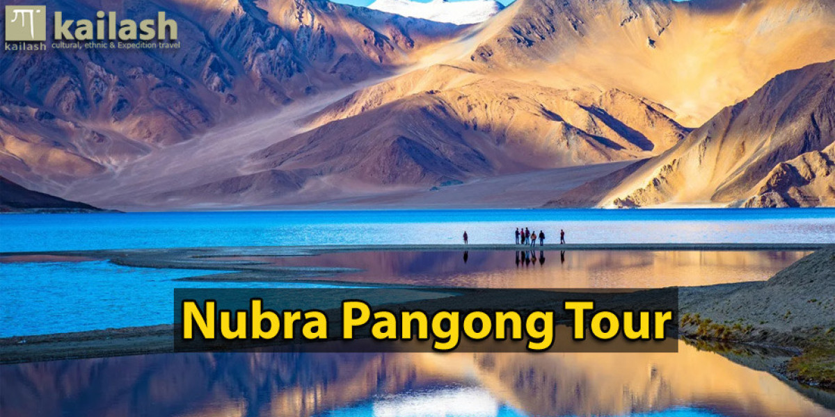 Nubra Pangong Tour: Exploring the Enchanting Beauty of India's Himalayas