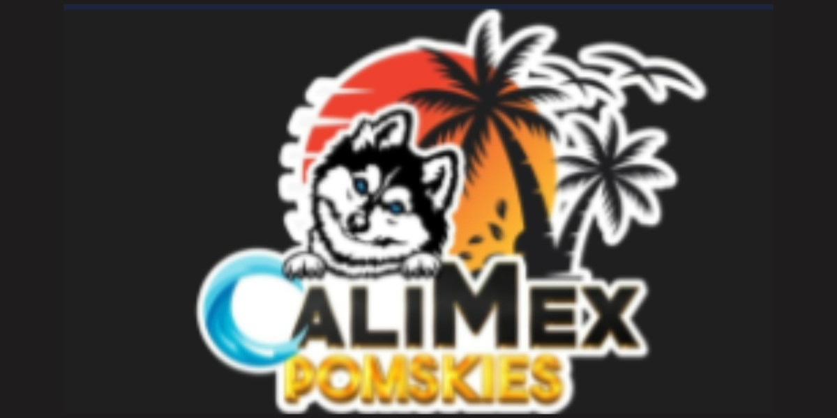 Unleashing the Charm: Your Ideal Pomsky Companion at Calimex Pomskies