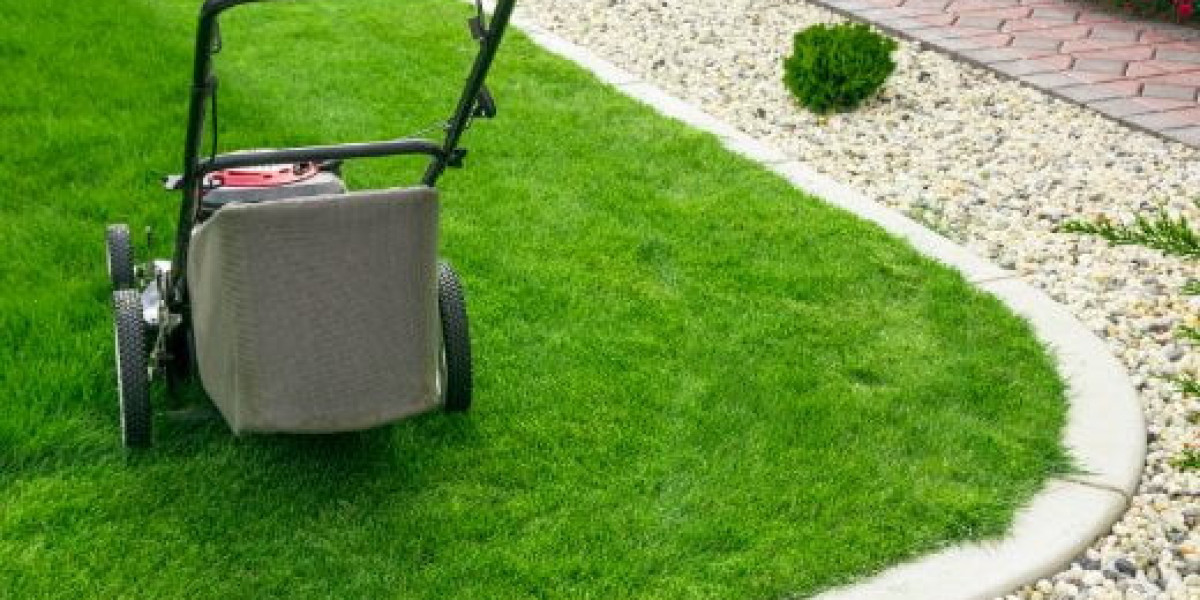 Understanding the Varieties: What to Look for When Shopping Artificial Grass Online