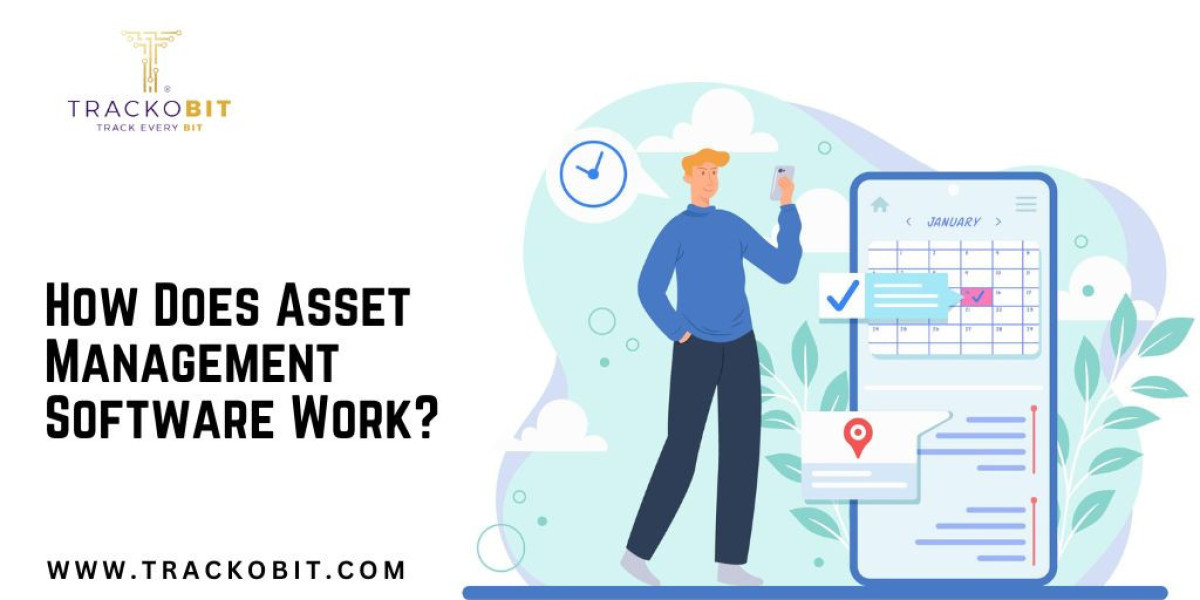 How Does Asset Management Software Work?