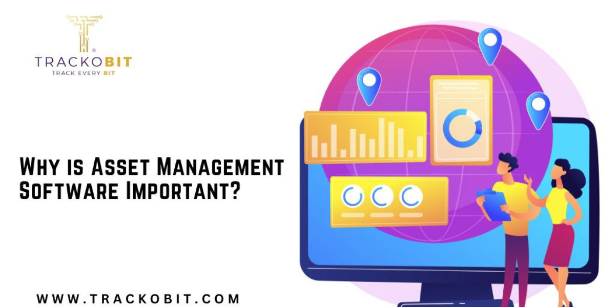 Why is Asset Management Software Important?