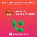 Google Voice Accounts Profile Picture