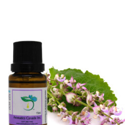 Clary Sage Organic Essential Oil Profile Picture