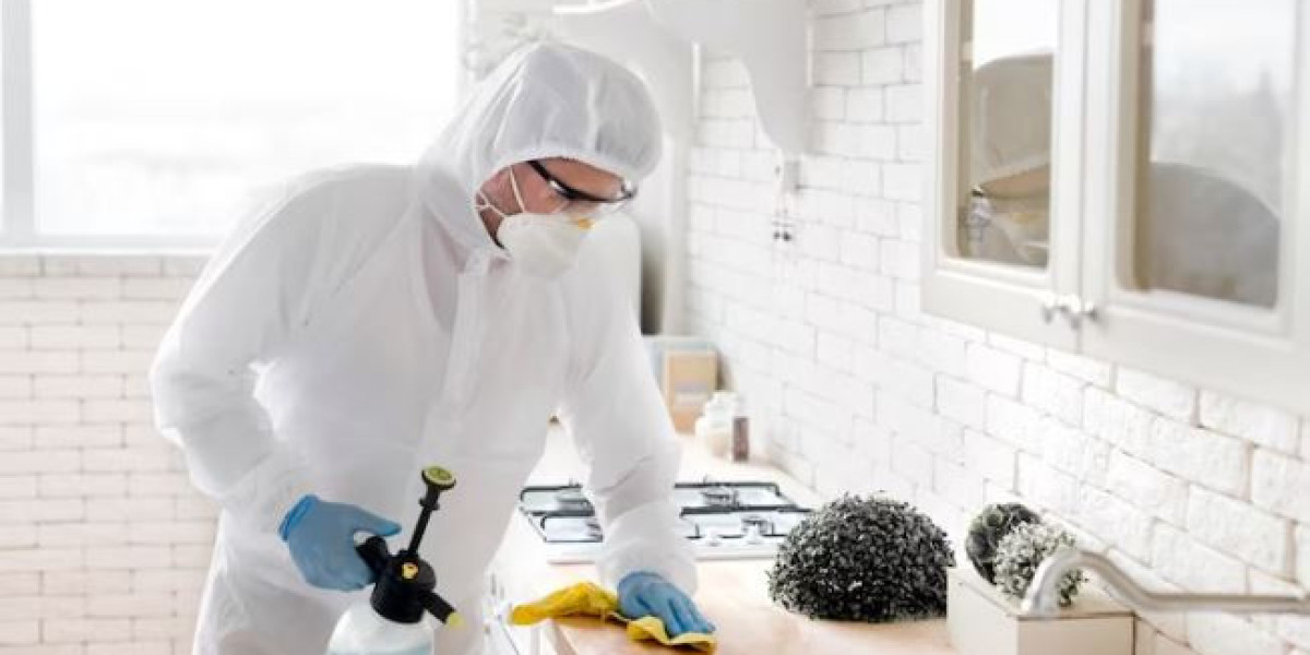 Effective and Eco-Friendly Residential Pest Control Service in Jaipur: Safeguarding Your Home