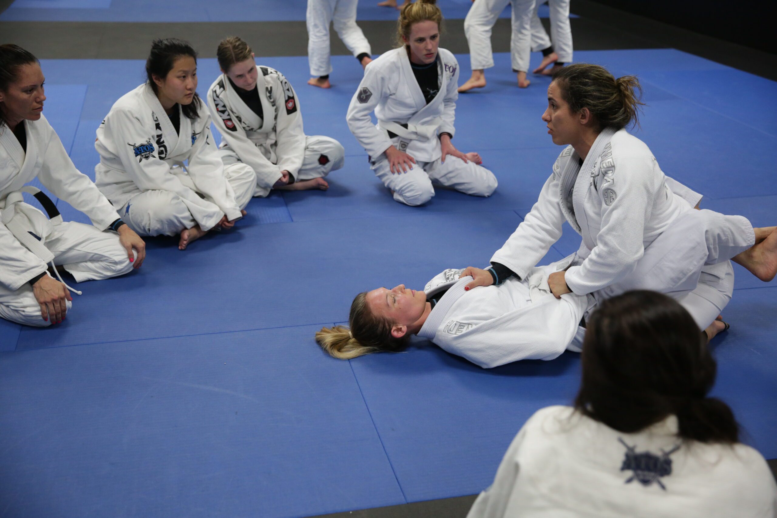 From White Belt to Black Belt: Your Guide to Success at the Jiu-Jitsu Gym - Trendvin