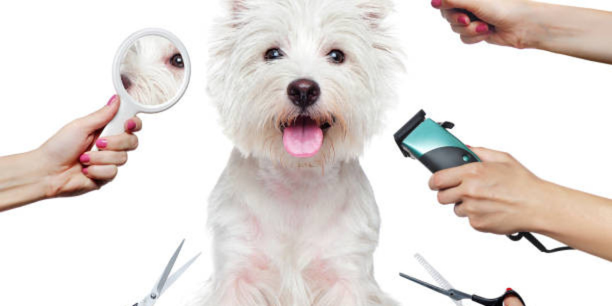 The Future of Sustainable Packaging in Pet Grooming: Market Trends 2023-2030