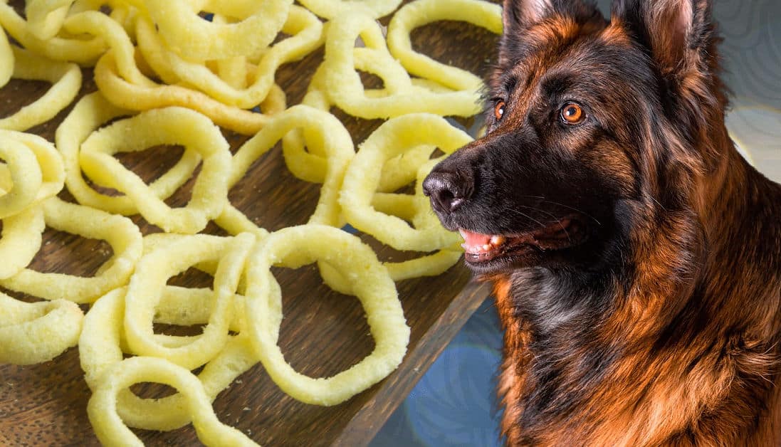 Can Dogs Eat Funyuns? Understanding Snack Safety for Pets