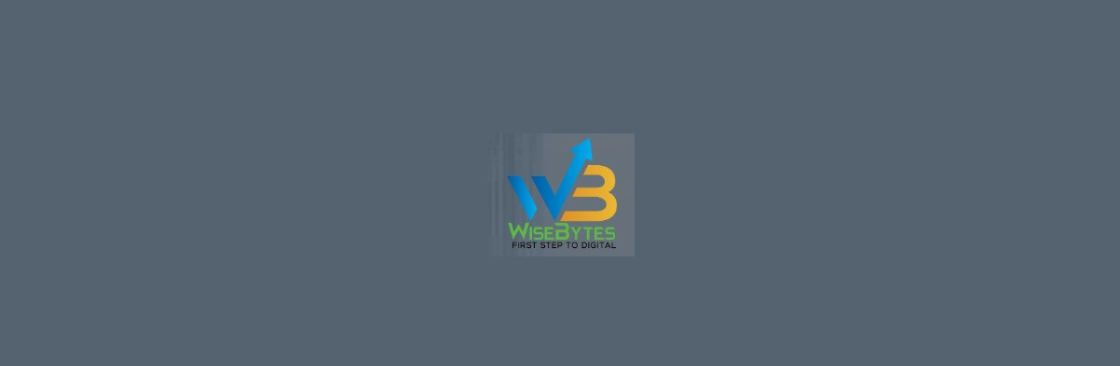 WISEBYTES SOLUTIONS INC Cover Image