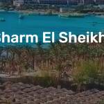 sharmelsheikh Profile Picture