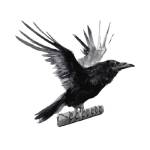 Route Raven Profile Picture