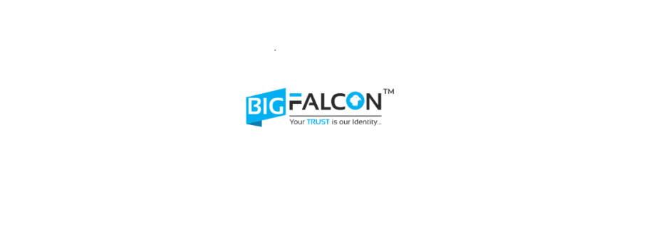 BIG FALCON Cover Image