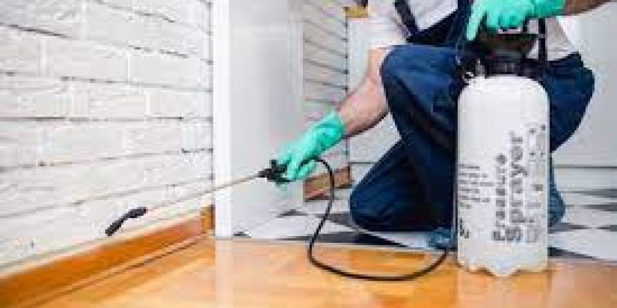 An article about DIY Pest Control Tips