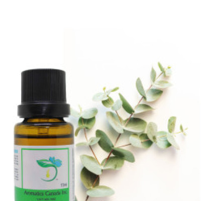 Eucalyptus (Globulus) Organic Essential Oil Profile Picture