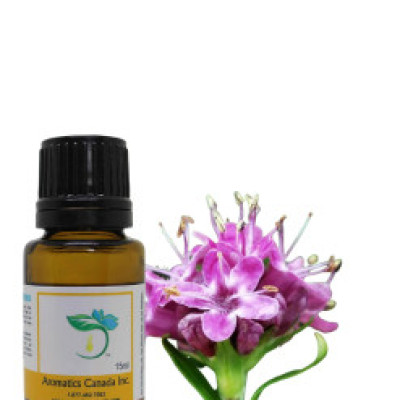 Spikenard Organic Essential Oil Profile Picture