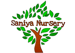 Saniya Nursery (One Stop For All Your Garden Needs)