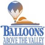 Balloon above the Valley Profile Picture