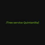 Tree service Profile Picture