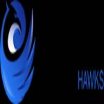 cartoon hawks Profile Picture