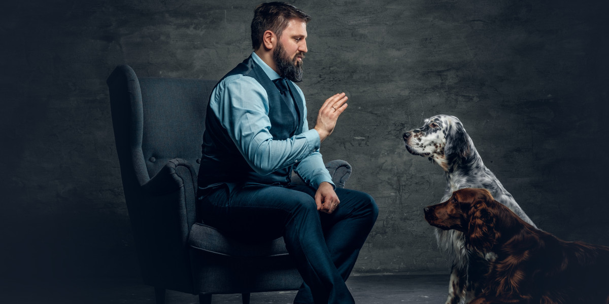 How Can an Old Dog Trainer Marketer Find Success Online?