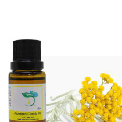 Helichrysum Organic Essential Oil Profile Picture