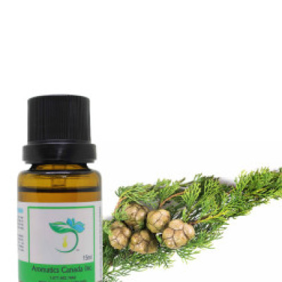 Cypress Organic Essential Oil Profile Picture