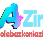 lolebazkoniazin azin Profile Picture