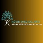 Moein Surgical Arts profile picture