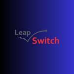 Leap switch Profile Picture