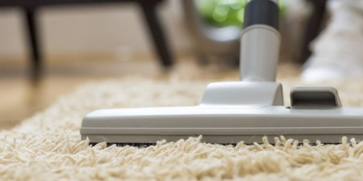 Effective Solutions for Pet Stain Removal from Rugs in Los Gatos