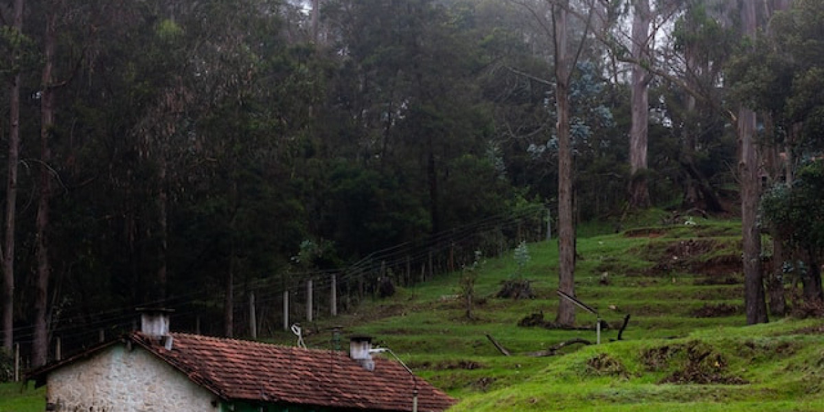 Kodaikanal: A Tranquil Haven on Kerala Tour Packages from Chennai