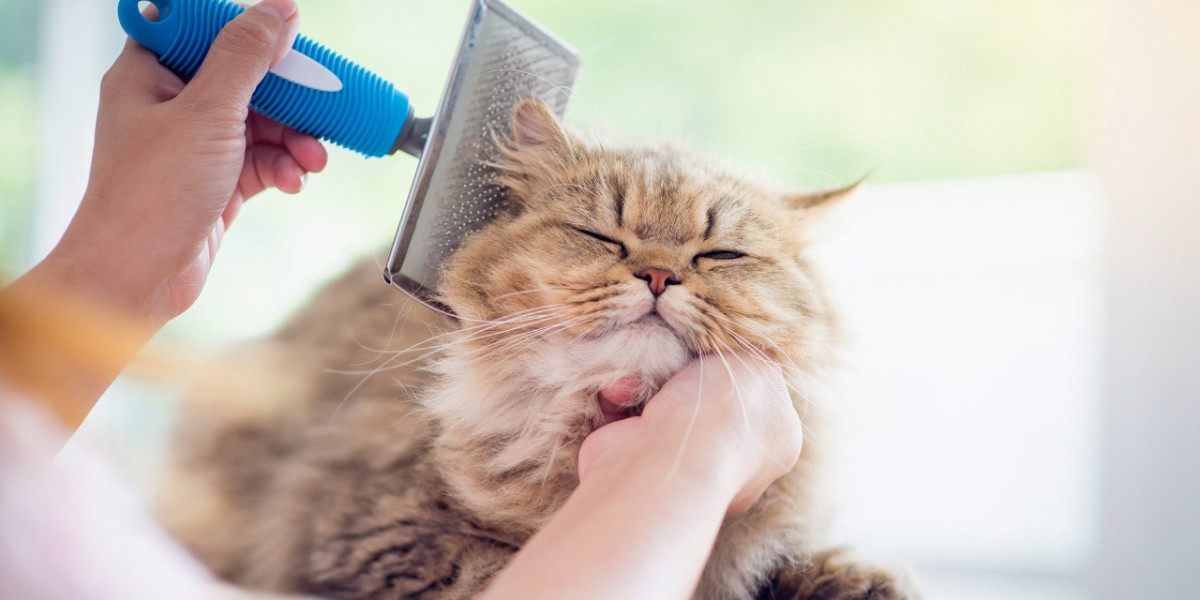Pet Grooming Subscription Boxes: Abu Dhabi's Monthly Treats