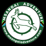 Msangai Adventure Profile Picture